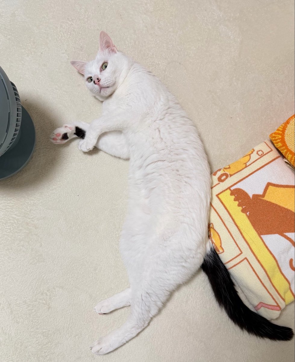 らむね