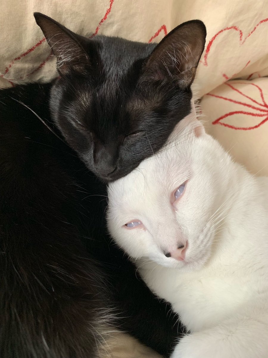 らむねとぐみ